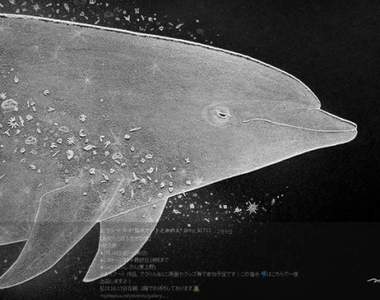 《鹽水藝術》結晶化展現出來的海洋世界觀好漂釀