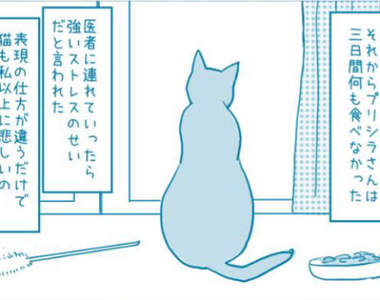 有洋蔥《貓的感情》常被誤解為冷酷的貓咪　或許比人類還重感情...