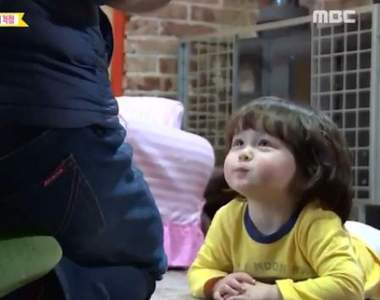 家裡只有狗狗造成《越來越像狗的小孩》老外爸爸言論引爭議