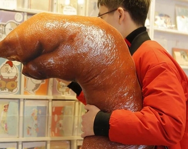 美食抱枕無極限《超擬真紅燒豬蹄膀抱枕》好油膩www想配碗白飯