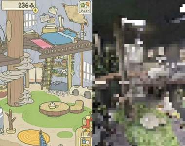 室內設計神人神還原《旅遊青蛙蛙宅格局》蛙兒蛙女不回家只好住進去思念啦~