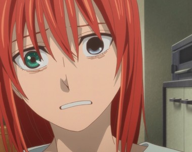 動畫迷全笑噴《魔法使的新娘第22話神廣告》只有看首播才能體會的樂趣……