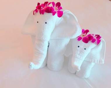 《毛巾藝術》摳！摳！兩聲敲門進去期待看到的貼心光景