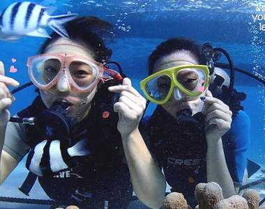 韓國招募新血《免費送你去塞班島五天四夜》太佛心引發網友熱議