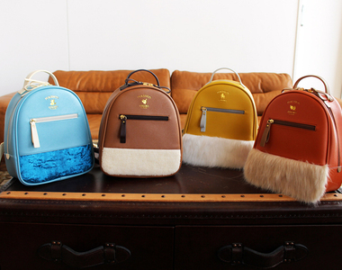 精靈寶可夢《伊布背包》這麼實用的東西不買對不起自己~幫我都包起來吧(爆)