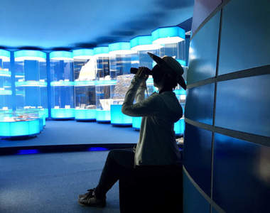 《來去博物館住一晚》日本唯一可以住宿還有恐龍陪伴的《奧出雲多根自然博物館》