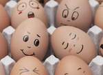 衝擊《雞蛋的裝袋技巧》盒裝蛋放在袋子下層才不容易破!? 衝擊《雞蛋的裝袋技巧》盒裝蛋放在袋子下層才不容易破!?
