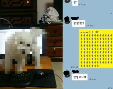 跟朋友聊到一半《出現神秘的語言》兇手你到底怎麼上去的....