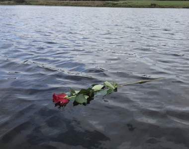 兩張照片一個故事《請幫我把花投進湖中》湖邊字條讓網友忍不住鼻酸