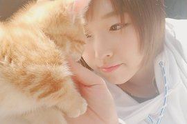 AV女優松本菜奈實《表演巨乳夾貓神技》下輩子想投胎成喵星人了…… AV女優松本菜奈實《表演巨乳夾貓神技》下輩子想投胎成喵星人了……