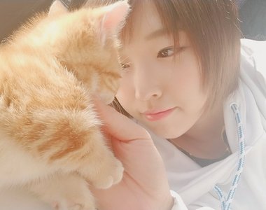 AV女優松本菜奈實《表演巨乳夾貓神技》下輩子想投胎成喵星人了……