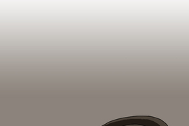 撲克臉女孩 第31話 撲克臉女孩 第31話