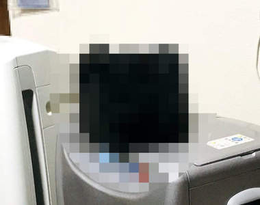 家中驚見《變形黑貓》奇怪，我哪時候買了這個毛毛的收納箱？（誤）