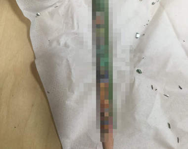 衝擊《合格祈願鉛筆的真相》為考生提升戰鬥力的竟然是賽亞人！？