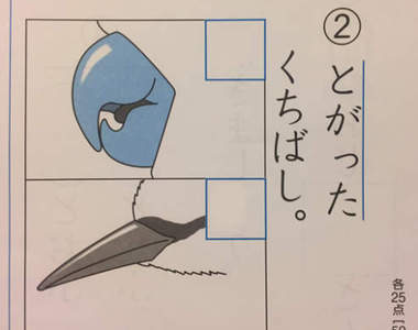 《小學生的天才答案》「選出尖的鳥嘴」兒子他竟然這樣解答...