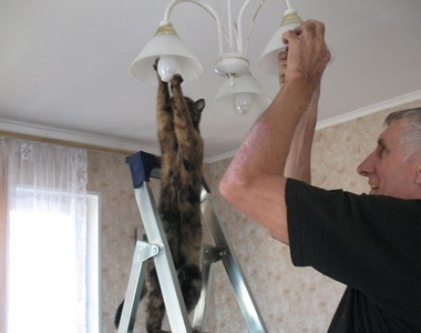 《太過人性化的動物們》拉鍊在哪把偽裝給我脫下來～