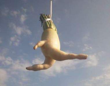 《大根逃走中》要是真的跑掉應該是會越來越短吧？