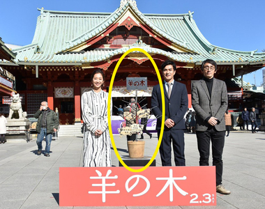 《如果傑尼斯肖像早點解禁》錦戶亮就不用變成一棵盆栽惹www