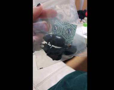 新女團《かみつき！MAD-DOG》出道會吃昆蟲　立刻被事務所資遣