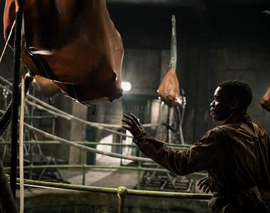 電影《大君主行動》當人造實驗士兵碰上真正的軍隊...這是鋼鍊劇情成真吧w