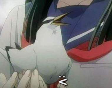 韓國影迷看了都超火大《時常亂翻譯的電影台詞》其實蠻白爛的阿XD