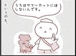 《狗狗夏天不剃毛的理由》天氣再熱還是不把毛剃光 其實是為了保護牠們? 《狗狗夏天不剃毛的理由》天氣再熱還是不把毛剃光 其實是為了保護牠們?