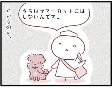 《狗狗夏天不剃毛的理由》天氣再熱還是不把毛剃光 其實是為了保護牠們?