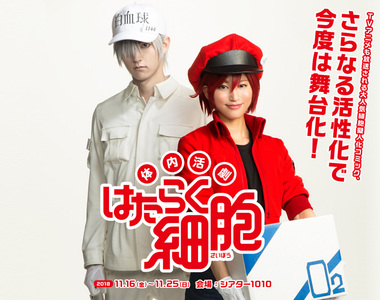 《工作細胞真人舞台劇》定裝照出爐啦 那個細胞的笑容也太可愛了吧www