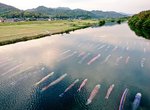 《水中鯉魚旗》日本兒童節高掛鯉魚旗習俗原來還有超美水中版本❤ 《水中鯉魚旗》日本兒童節高掛鯉魚旗習俗原來還有超美水中版本❤