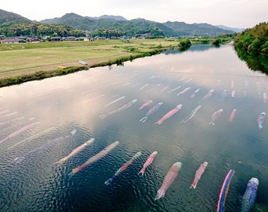 《水中鯉魚旗》日本兒童節高掛鯉魚旗習俗原來還有超美水中版本❤
