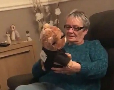 有洋蔥《送奶奶的娃娃有秘密》一聽到聲音就哭了