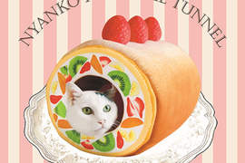 《貓的蛋糕捲》貓咪躲進去就能讓你可愛照片拍不完的貓床登場♪