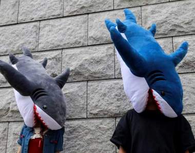 被咬也能這麼可愛《鯊魚抱枕》抱著舒服被咬也一樣舒服（？）