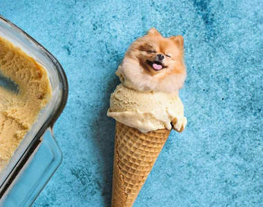 隱身食物裡的狗狗《Dogs In Food》原來我養了一隻炸雞...