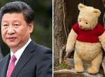 小熊維尼電影《摯友維尼》果然在中國被禁止上映了 小熊維尼電影《摯友維尼》果然在中國被禁止上映了