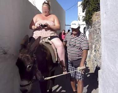 愛琴海夢幻小島《肥胖遊客瘋狂湧入》小驢子血淚過勞,被壓到皮開肉綻…