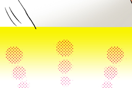 小鸚鵡飼養日記 第13話