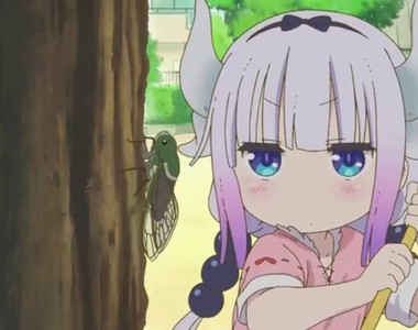 日本奇妙風俗《屋頂裝飾的蟬》跟防止火災有什麼關係?