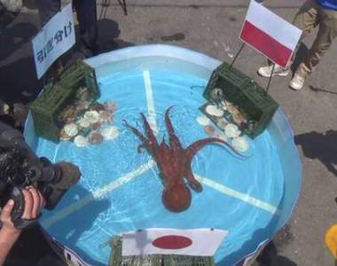 《北海道世足章魚哥》神準預測日本隊3場比賽的下場竟然是...