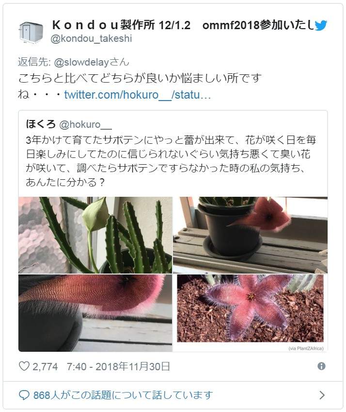 悲剧《细心培育绿藻球的结果》换水换了6年才发现绿藻球残酷的真相... - 图片5 悲剧《细心培育绿藻球的结果》换水换了6年才发现绿藻球残酷的真相...