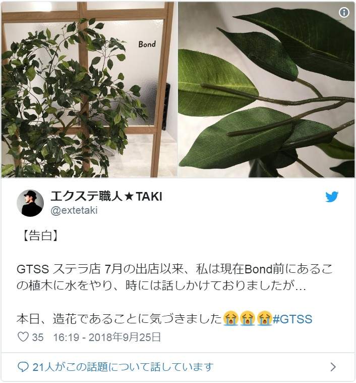 悲剧《细心培育绿藻球的结果》换水换了6年才发现绿藻球残酷的真相... - 图片8 悲剧《细心培育绿藻球的结果》换水换了6年才发现绿藻球残酷的真相...