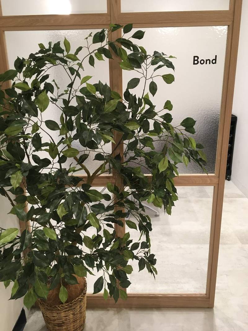 悲剧《细心培育绿藻球的结果》换水换了6年才发现绿藻球残酷的真相... - 图片9 悲剧《细心培育绿藻球的结果》换水换了6年才发现绿藻球残酷的真相...