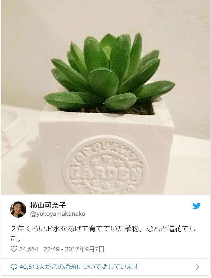 悲剧《细心培育绿藻球的结果》换水换了6年才发现绿藻球残酷的真相... - 图片12 悲剧《细心培育绿藻球的结果》换水换了6年才发现绿藻球残酷的真相...