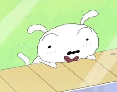 跟貓與狗玩《惡作劇》 狗狗萌傻萌傻的樣子超可愛