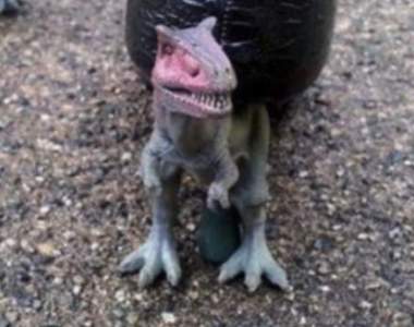 《生活宅偏方》這篇神改造我想大家應該沒機會用上啦XD