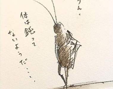 《小強活動週期開始》警告氣溫回升的現在作戰活動始動