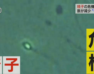 抽菸肥宅要注意《NHK公布精子無力的7大原因》無法懷孕不要怪老婆……
