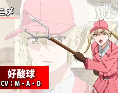 第4話《工作細胞》的《理想與現實》金髮雙馬尾的「嗜酸性球」姊姊變成新萌對象啦