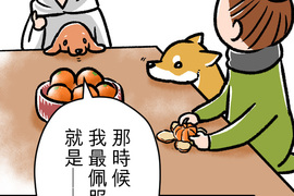 內有萌犬～漫畫家的狗日記 第16話