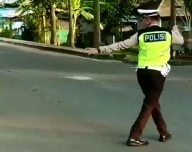 超暖心的畫面《幫助貓咪過馬路的警察》更神奇的是牠也聽得懂♥